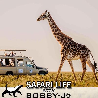 Ep7: You MUST Listen to This if You’ve Ever Thought of Doing an African Safari!!