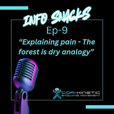Cor-Kinetic info snacks Ep 9 - Explaining pain (what makes the forest dry analogy) Cor-Kinetic info snacks Ep 9 - Explaining pain (what makes the forest dry analogy)