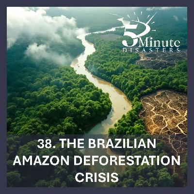 The Brazilian Amazon Deforestation Crisis