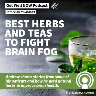 Best Herbs and Teas to Help Brain Fog