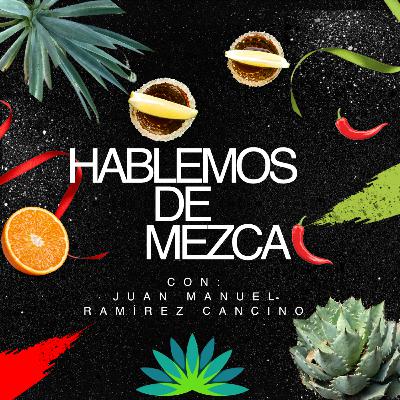 Hablemos de mezcal- prueba