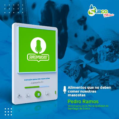 Alimentos que no deben comer nuestras mascotas