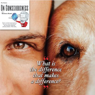 #9 — What is the difference that makes a difference? Jay Giedd On Consciousness  w/ Bernard Baars