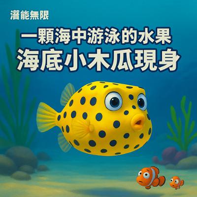 一顆海中游泳的水果：海底小木瓜現身