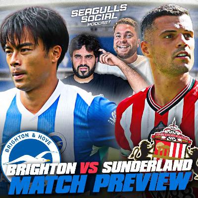 Will AFCON Be Sunderland's Downfall? | Brighton vs Sunderland | MATCH PREVIEW
