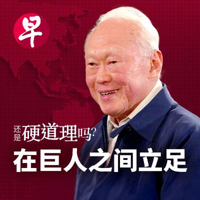 在大树之间创造生存空间