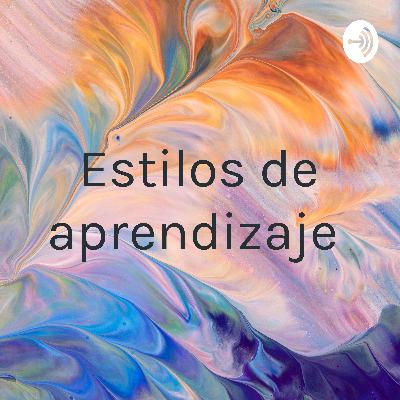 Este audio habla son de los estilos de aprendizaje y sus características