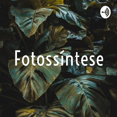 Um pouco de fotossíntese