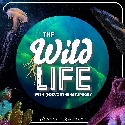 Mass Extinctions, Dinosaurs, and Chasing Dreams with Juan-Pablo Piña @paleoauthor