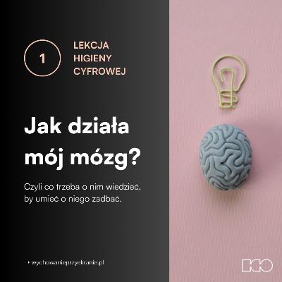 #7: Jak działa mój mózg w świecie nowych technologii?