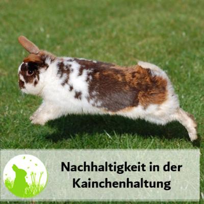 Nachhaltigkeit in der Kaninchenhaltung