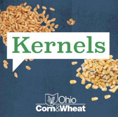 Ep 099: Farmers Respond to MAHA