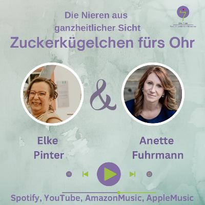 Ein Gespräch unter Kolleginnen: Die Nieren aus ganzheitlicher Sicht Ein Gespräch unter Kolleginnen: Die Nieren aus ganzheitlicher Sicht