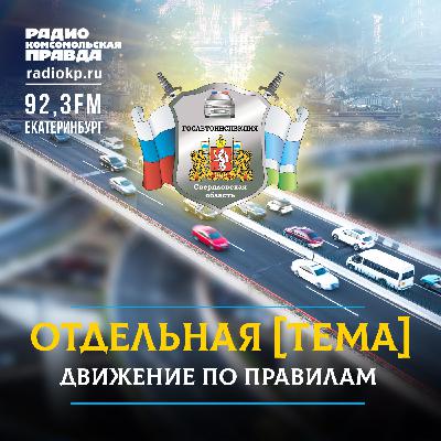 Как избежать встречи с дикими животными на дороге