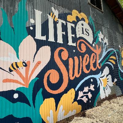 Ep. 126 - The Best Things to Do Instead of Tourist Traps in Small(er) US Cities