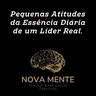 Pequenas Atitudes da Essência Diária de um Líder Real