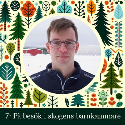På besök i skogens barnkammare