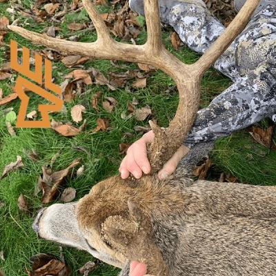 EP205 Small Hunting Property Design, Old Field Conversions, Late Season Food Plots