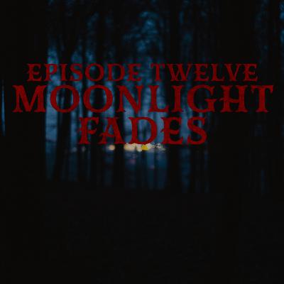 Episode Twelve: Moonlight Fades