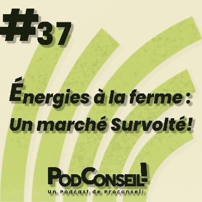 #37 - Énergies à la ferme : Un marché Survolté! #37 - Énergies à la ferme : Un marché Survolté!