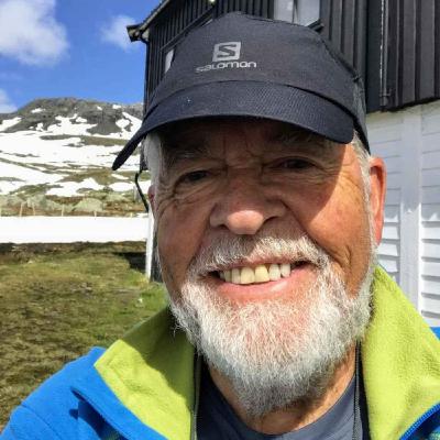 Arne Selvik og Den digitale styreverden