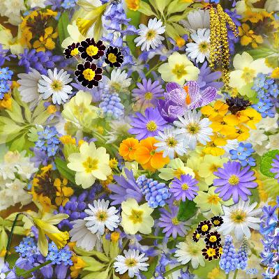 vol.29 不设限的人生:从艺术教师到市场营销博士,十年跨界实验 vol.29 不设限的人生:从艺术教师到市场营销博士,十年跨界实验