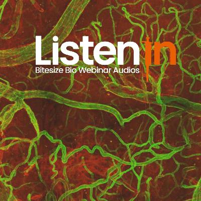 Windows On Neurovascular Pathologies