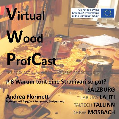#8 Warum tönt eine Stradivari so gut? #8 Warum tönt eine Stradivari so gut?