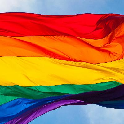 Episode 5: LGBT+ History Month Special - Investigating the Invisible