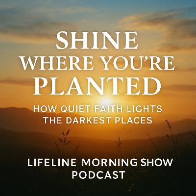 Shine Where You’re Planted: How Quiet Faith Lights the Darkest Places Shine Where You’re Planted: How Quiet Faith Lights the Darkest Places