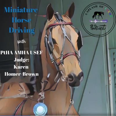 Episode 29: Miniature Horse Driving with PtHA, AMHA, USEF Judge Karen Homer-Brown Episode 29: Miniature Horse Driving with PtHA, AMHA, USEF Judge Karen Homer-Brown