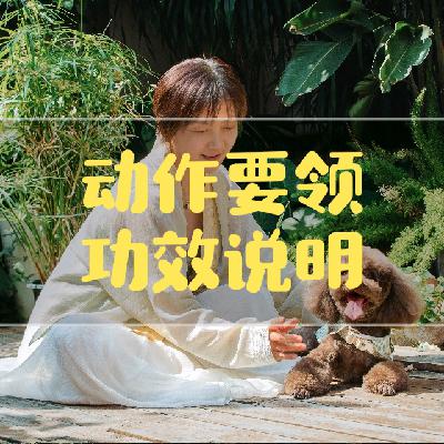 0-沉气呼吸法动作要领和功效说明