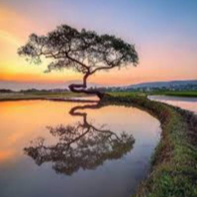 POETRY FOR ALL