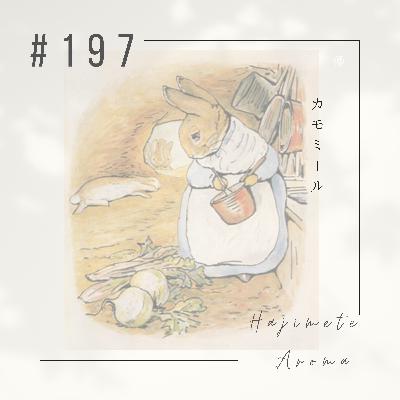 第１９７話 / カモミール