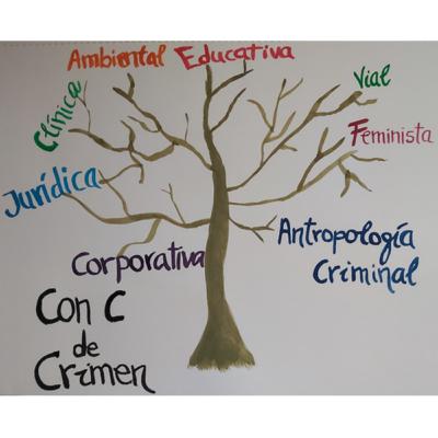 9. Las ramas de la criminología