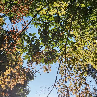 Impromptu Riff: 10/30/2025