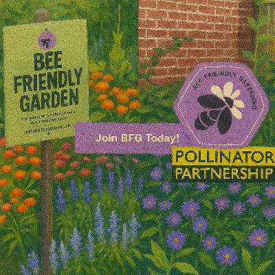 551 Gardens Strong: Inside Pollinator Partnership's Bee Friendly Gardening