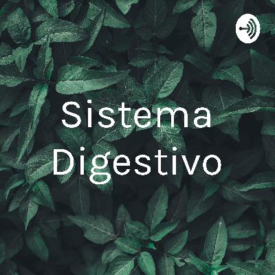Sistema digestivo