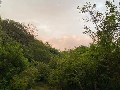 雨上がりの夕暮れ　虹を探しに山へゆこう from Radiotalk