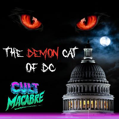 The Demon Cat of D.C.