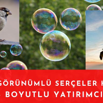 Çinin Selanik Kanalı Projesi, 3 boyutlu yatırım yapmak ve şahin görünüm haftası Çinin Selanik Kanalı Projesi, 3 boyutlu yatırım yapmak ve şahin görünüm haftası