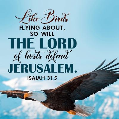Isaiah 31-32 Like birds hovering and flying about, so the LORD of Armies will protect His people in Jerusalem—by protecting it, He will rescue it; by sparing it, He will deliver it.