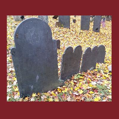 (Bonus) Episode 1:  Epidemic, The Follow-up