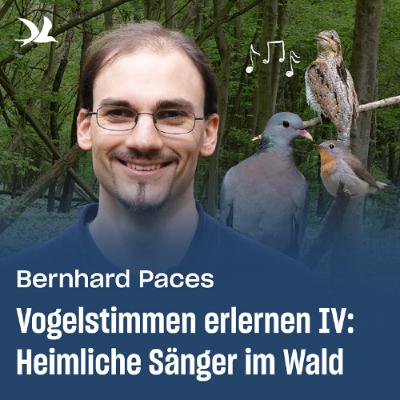 90. Vogelstimmen erlernen IV: Heimliche Sänger im Wald