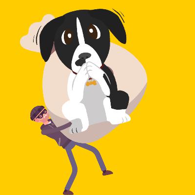 SOS te ayuda y protege!!!