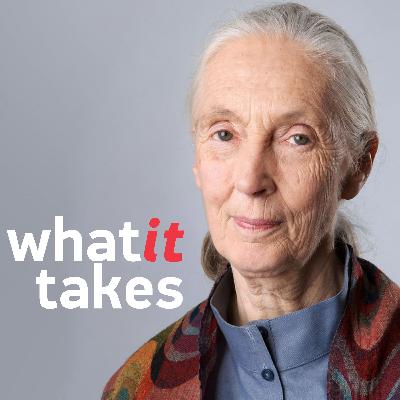 Jane Goodall In Memoriam: A Dedicated Pursuit
