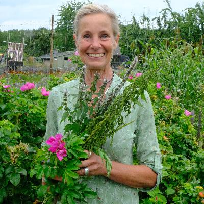 10 Ätbart i skogen. Sveriges mesta herbalist Lisen Sundgren tipsar om sina favoriter 10 Ätbart i skogen. Sveriges mesta herbalist Lisen Sundgren tipsar om sina favoriter