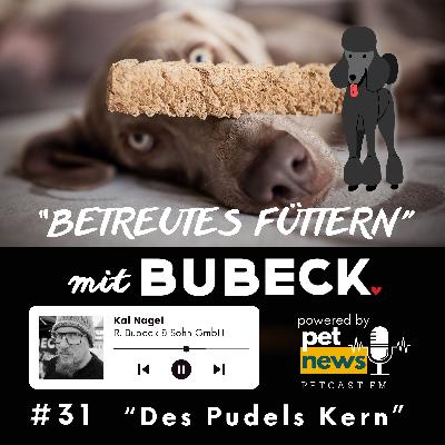 #31 - Des Pudels Kern