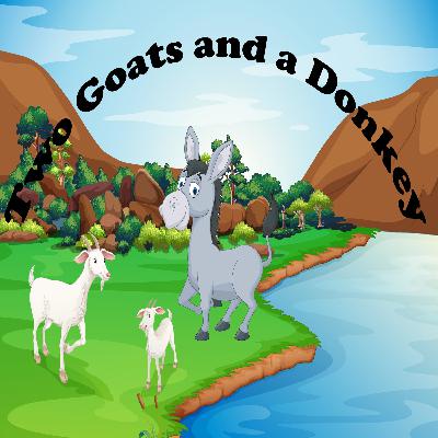 Episode 7 - The Dinari Scam Episode 7 - The Dinari Scam