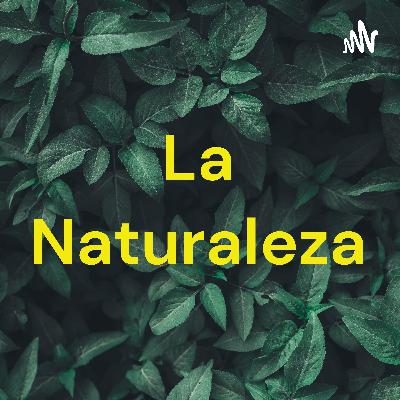 La naturaleza